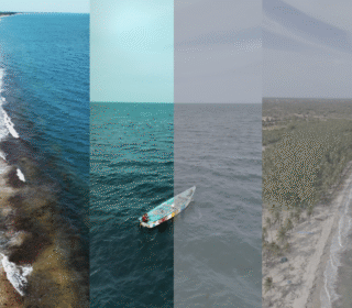 Aerial Blue - Cinematic Lut